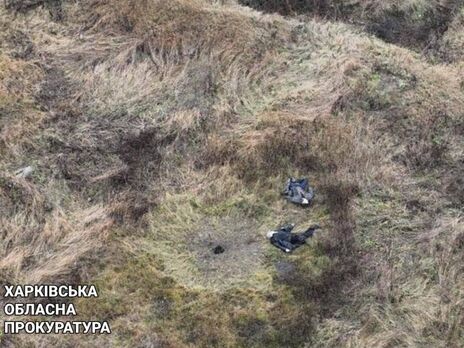 В Харьковской области двое мужчин погибли, подорвавшись на мине – прокуратура