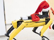 Boston Dynamics показала, как их роботы смогли дотянуться до верхушки елки, чтобы украсить ее бантом. Видео