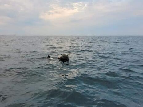 В Николаевской области взорвалась морская мина, которую прибило к берегу – полиция