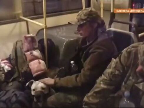Украина вместе с пленными вернула домой известную собаку с "Азовстали"