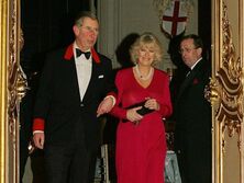 "Опасались, что будет злой мачехой". Принц Гарри и принц Уильям уговаривали отца не жениться на Камилле – СМИ