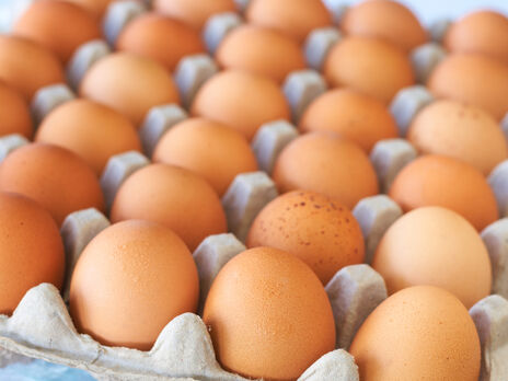 ГБР заявило о задержании пяти человек за поставки Министерству обороны яиц по 17 грн и 