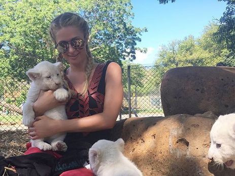 Хилтон устроила фотосессию в клетке со львятами