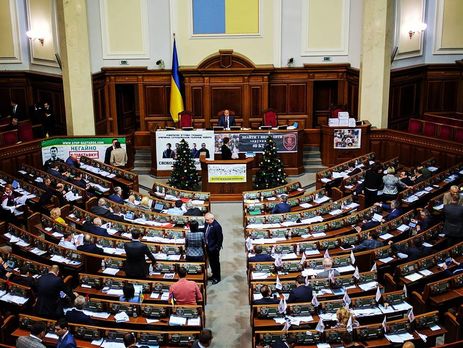 Рада проголосовала за создание финансовой полиции