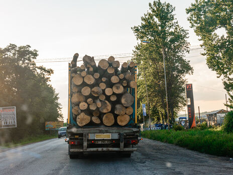 В Винницкой области прокуратура сообщила о подозрении чиновнику лесхоза при Минобороны за незаконную вырубку леса