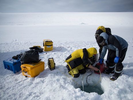 Робот снял редкие кадры подводного мира Антарктиды. Видео
