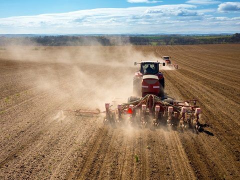2023 року врожай зернових в Україні буде меншим, ніж торік – прогноз Мінагропроду