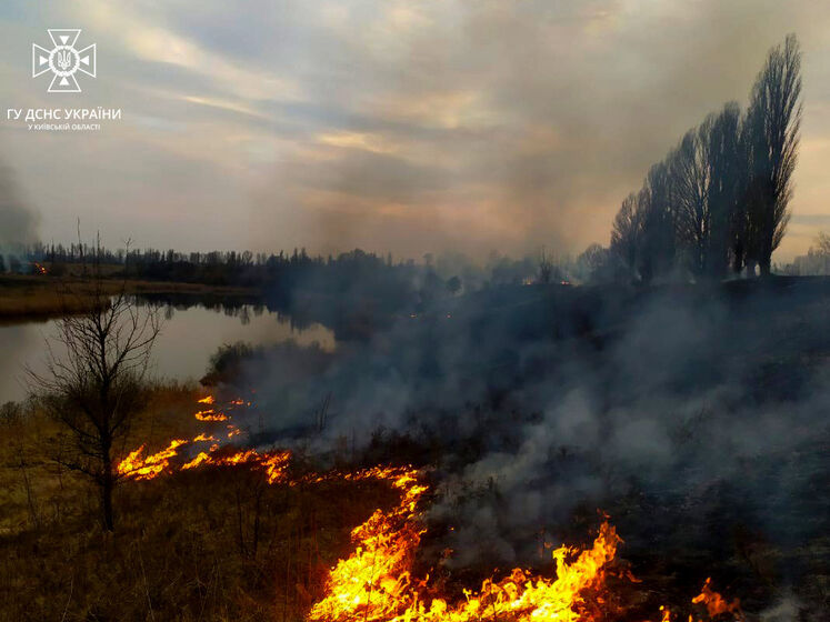 "Припиніть знущатися з рятувальників". ДСНС показала фото пожеж у Київській області й попросила не палити сухостою