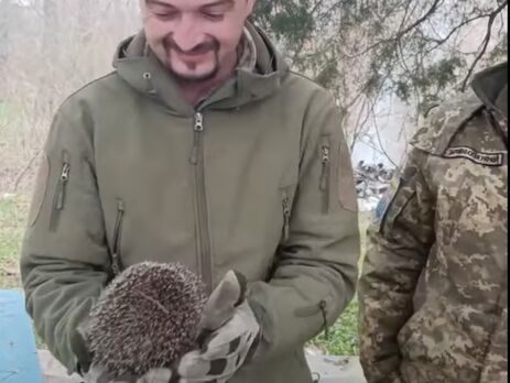 Украинские защитники спасли ежика, который застрял в части пластиковой бутылки. Видео