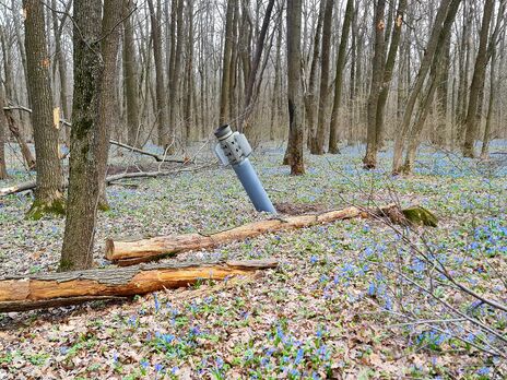 В Харьковской области от мин пострадали еще двое гражданских. В ОВА призывают не посещать леса и кладбища