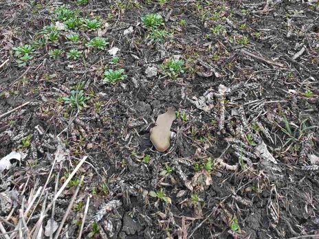 В Харьковской области мужчина подорвался на 