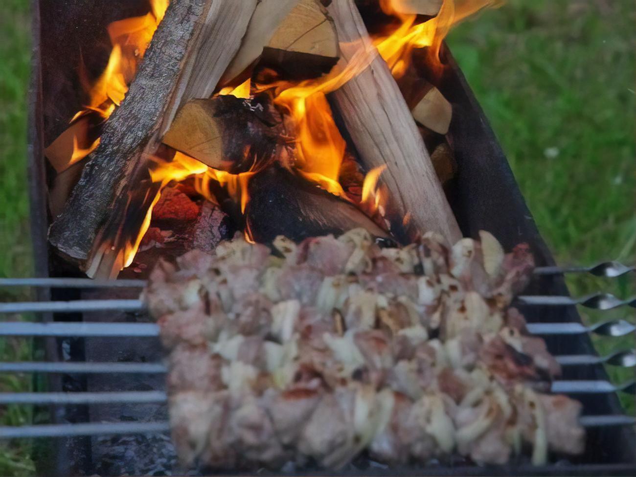 На каких дровах можно приготовить вкусный и ароматный шашлык. Советы  экспертов