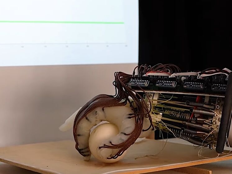 "Простая задача для ребенка, но удивительно сложная для робота". В Британии роботизированную руку научили брать предметы, не роняя и не ломая их