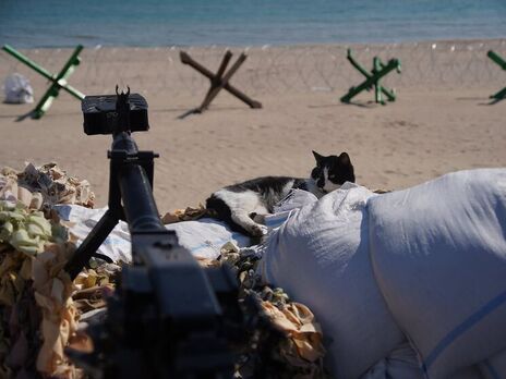 В Одеській області в районі пляжу знешкодили морську міну – ОК 