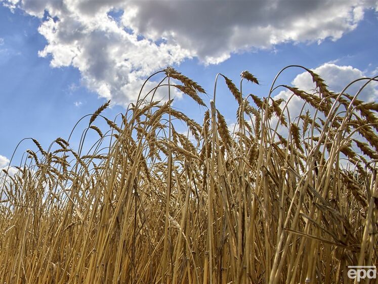 Болгарія розглядає можливість заборони на імпорт українського зерна