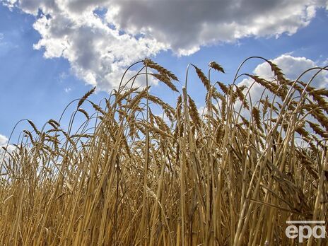 Болгария рассматривает возможность запрета на импорт украинского зерна
