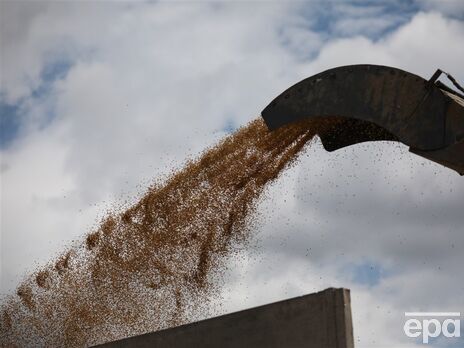 Министры агрополитики Украины и сельского хозяйства Венгрии обсудили запрет импорта украинского зерна, транзит сохранится