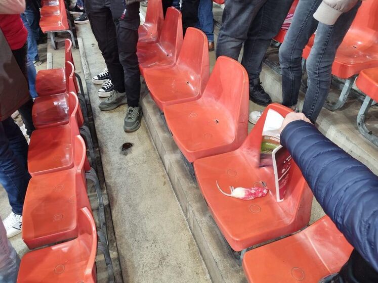 В Бельгии футбольные фанаты забросали болельщиков соперника мертвыми крысами