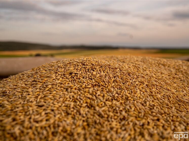 Румунія за зразком інших країн хоче заборонити імпорт українського зерна
