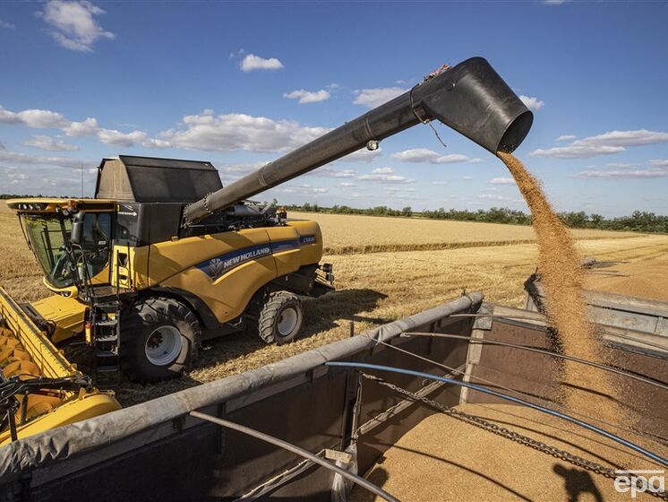 У забороні імпорту українського зерна до Польщі є політичний підтекст – міністр аграрної політики України