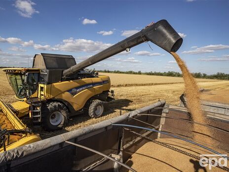 У забороні імпорту українського зерна до Польщі є політичний підтекст – міністр аграрної політики України