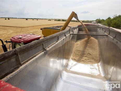 Євросоюз готує екстрені обмеження на імпорт зерна з України – ЗМІ