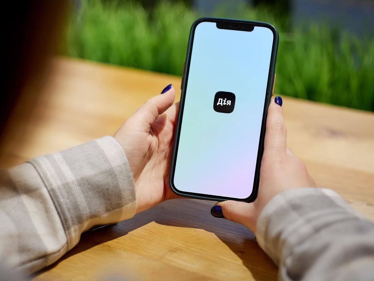 Справку о несудимости теперь можно получить в \"Дії\" – Федоров