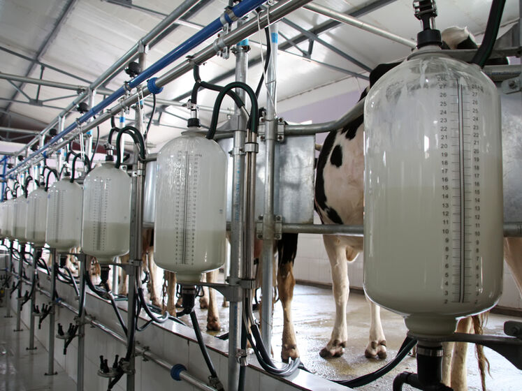 Союз молочных предприятий Украины: Запрет поставок украинских молочных продуктов в Польшу и ряд других европейских стран необходимо отменить