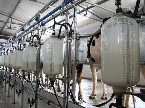 Спілка молочних підприємств України: Заборону постачань українських молочних продуктів у Польщу й низку інших європейських країн необхідно скасувати