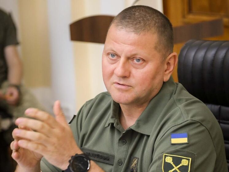 Залужный рассказал генинспектору бундесвера о подготовке украинских военных к предстоящим шагам по деоккупации