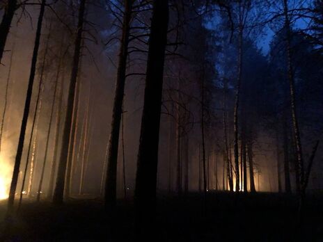 Огненные смерчи и чрезвычайное положение. В России горит почти 70 тыс. га леса. Фото, видео