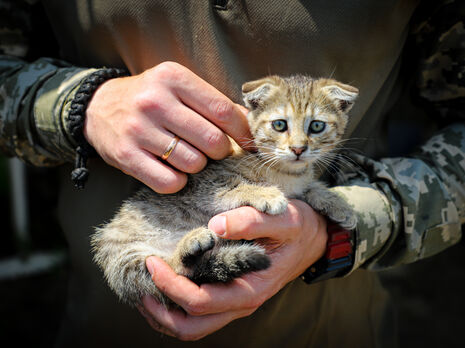 Украинские военные за сутки уничтожили 720 оккупантов и сбили российский самолет – Генштаб ВСУ
