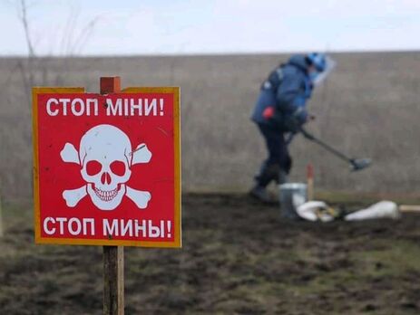 У Миколаївській області двоє чоловіків підірвалися на протипіхотній міні – поліція