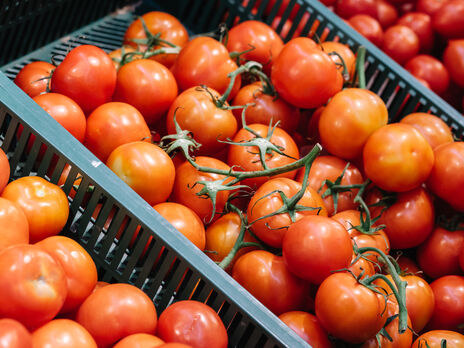 Если у помидоров есть этот запах – не покупайте. Эксперты поделились секретами, как на рынке выбрать спелые и качественные овощи