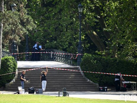 Во Франции гражданин Сирии напал с ножом на детей в парке, раненые находятся 