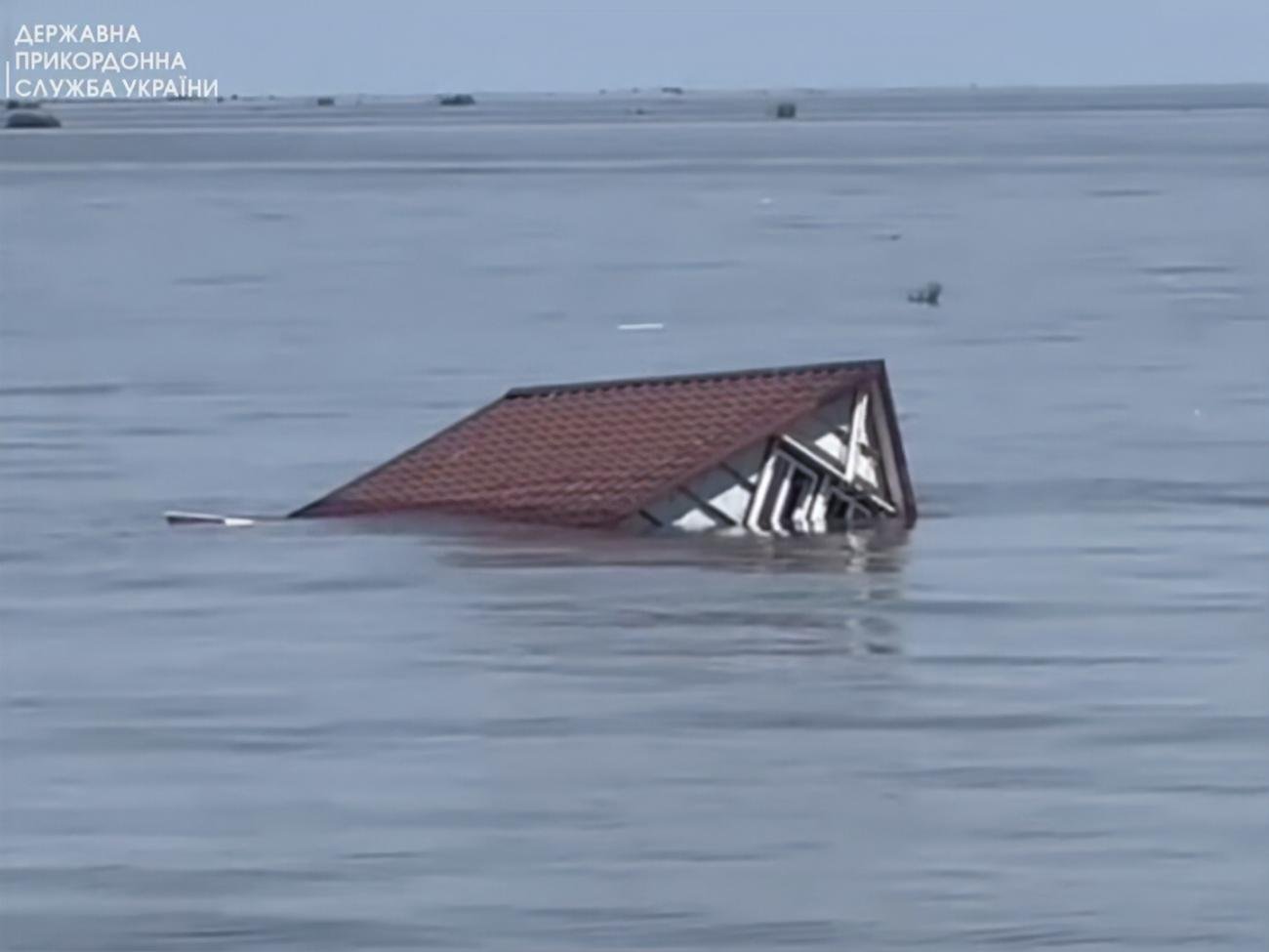 В Черном море начинается мор рыбы, вода несет дома, автомобили и мины.  Мусор будут убирать с помощью портовых буксиров