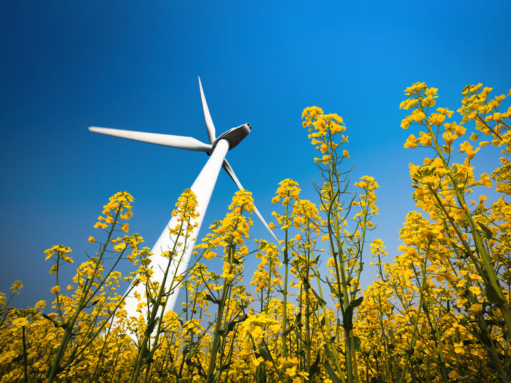 Украинская ветроэнергетическая ассоциация предлагает не устанавливать price cap на рынке электроэнергии