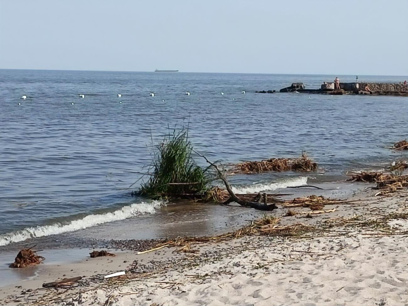 Соленость моря на пляжах Одессы упала почти втрое, загрязнение превышает  норму, но холеры нет – горсовет