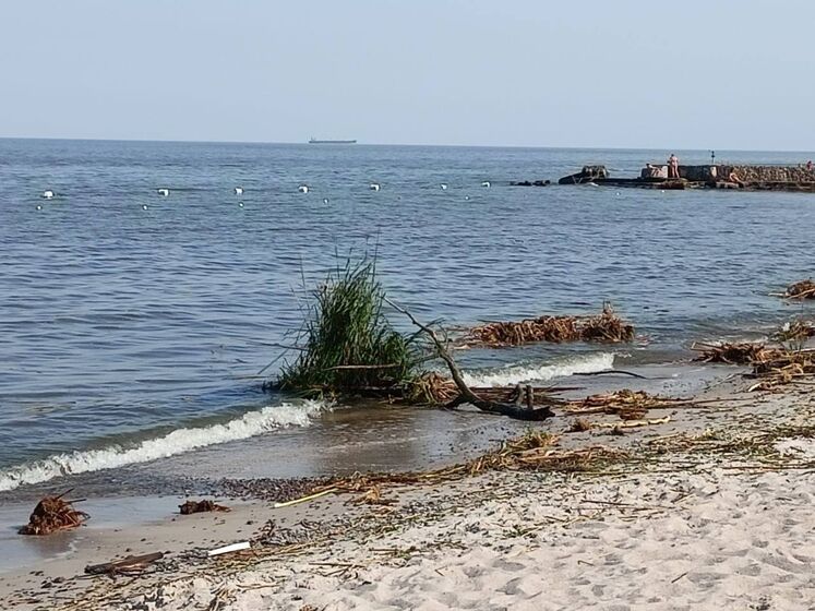 Солоність моря на пляжах Одеси впала майже втричі, забруднення перевищує норму, але холери немає &ndash; міськрада