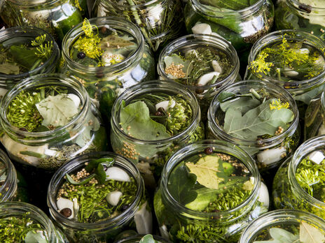 Как приготовить хрустящие малосольные огурцы с йодированной солью. Проверенный рецепт с точными пропорциями