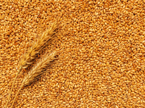 У Херсоні затопило склад із пшеницею вартістю 15 млн грн