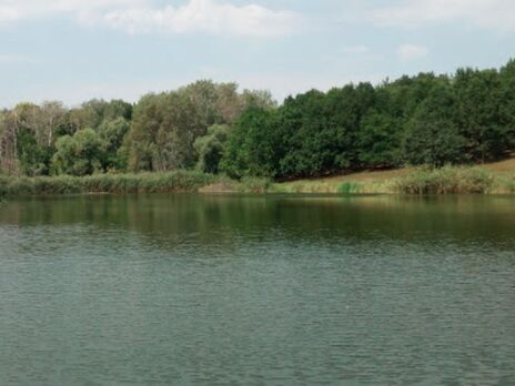У Харківській області потонула 12-річна дівчинка – ДСНС