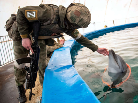 Росія використовує бойових дельфінів для захисту бази флоту в Севастополі й могла нещодавно подвоїти їхню кількість – британська розвідка