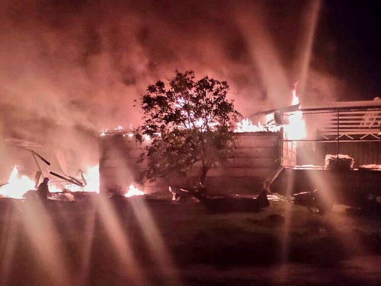 Оккупанты ночью атаковали беспилотниками Кривой Рог, произошли пожары, есть пострадавший &ndash; ОВА
