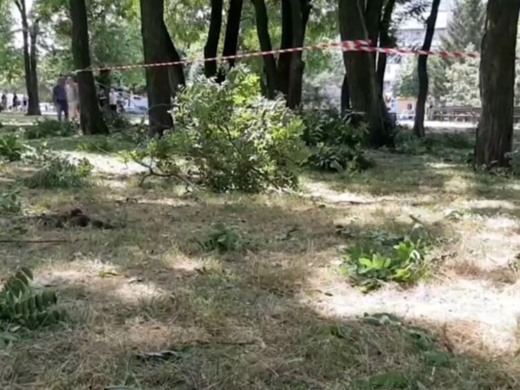 В Запорожье в парке прогремел взрыв, упали обломки "военного объекта", есть пострадавшие. Фото, видео