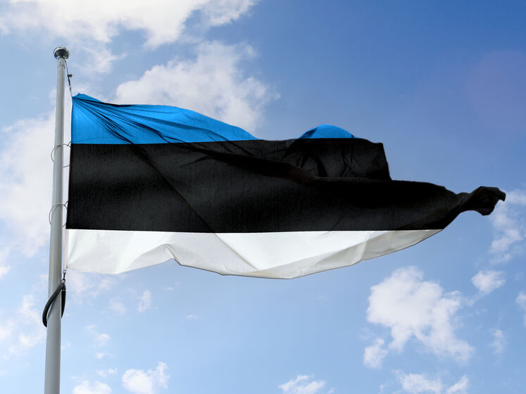 Естонія закупить для своїх збройних сил боєприпаси на €1,2 млрд