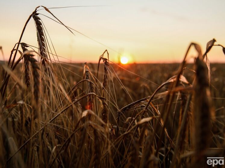 П'ять країн ЄС хочуть продовжити мораторій на імпорт українського зерна