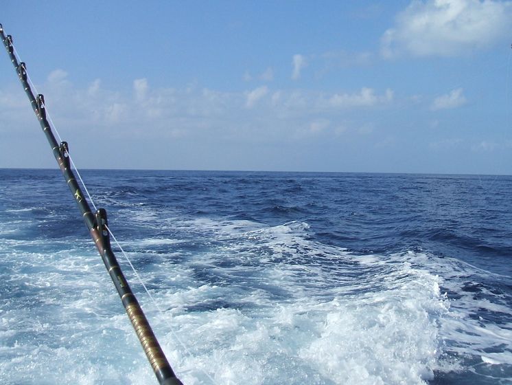 В Австралии марлин выбросил рыбака в океан
