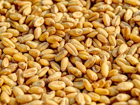 Із Запорізької області окупанти вагонами вивозять зерно, яке відібрали в українських аграріїв – Генштаб ЗСУ