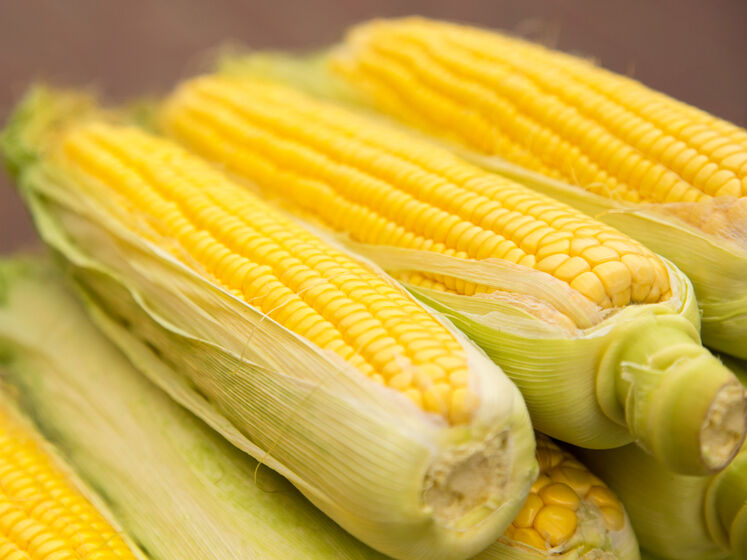 Чому шкодить сира кукурудза?